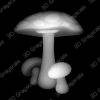 Mushrooms