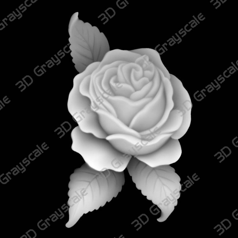rose-3d-grayscale
