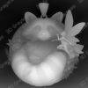 Racoon & Fairy Companion - Heightmap Download