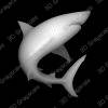 Great White Shark - Heightmap Download