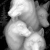 wolves depthmap 3d - Heightmap Download