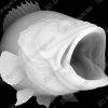Bass - Heightmap Download