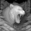 Siberian tiger grayscale depthmap laser - Heightmap Download