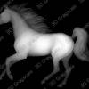 Horse depthmap and stl file - Heightmap Download