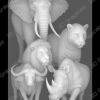 big five african animals - Heightmap Download