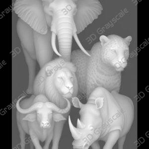big five african animals - Heightmap Download