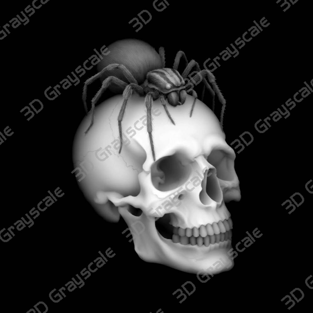 spider-skull laser engraving motifs - Depth Map spider-skull laser engraving motifs - Heightmap Download
