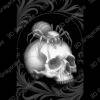 spider skull motif laser grayscale - Heightmap Download