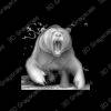bear grayscale laser file - Heightmap Download