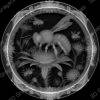 bee coin engraving - Heightmap Download