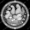 chicken coop coin - Heightmap Download