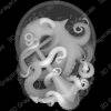 OCTOPUS laser depthmap - Heightmap Download