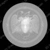 Greek coin perseus gorgon depthmap - Heightmap Download